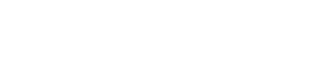 femi 9 logo