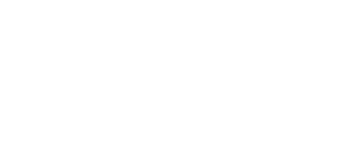 Deep Systems logo