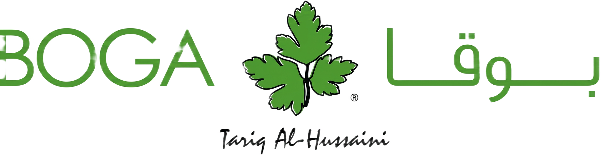 BOGA Super Foods logo
